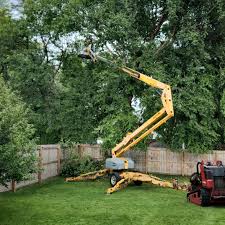 Lawn Grading and Leveling in Lawson Heights, PA